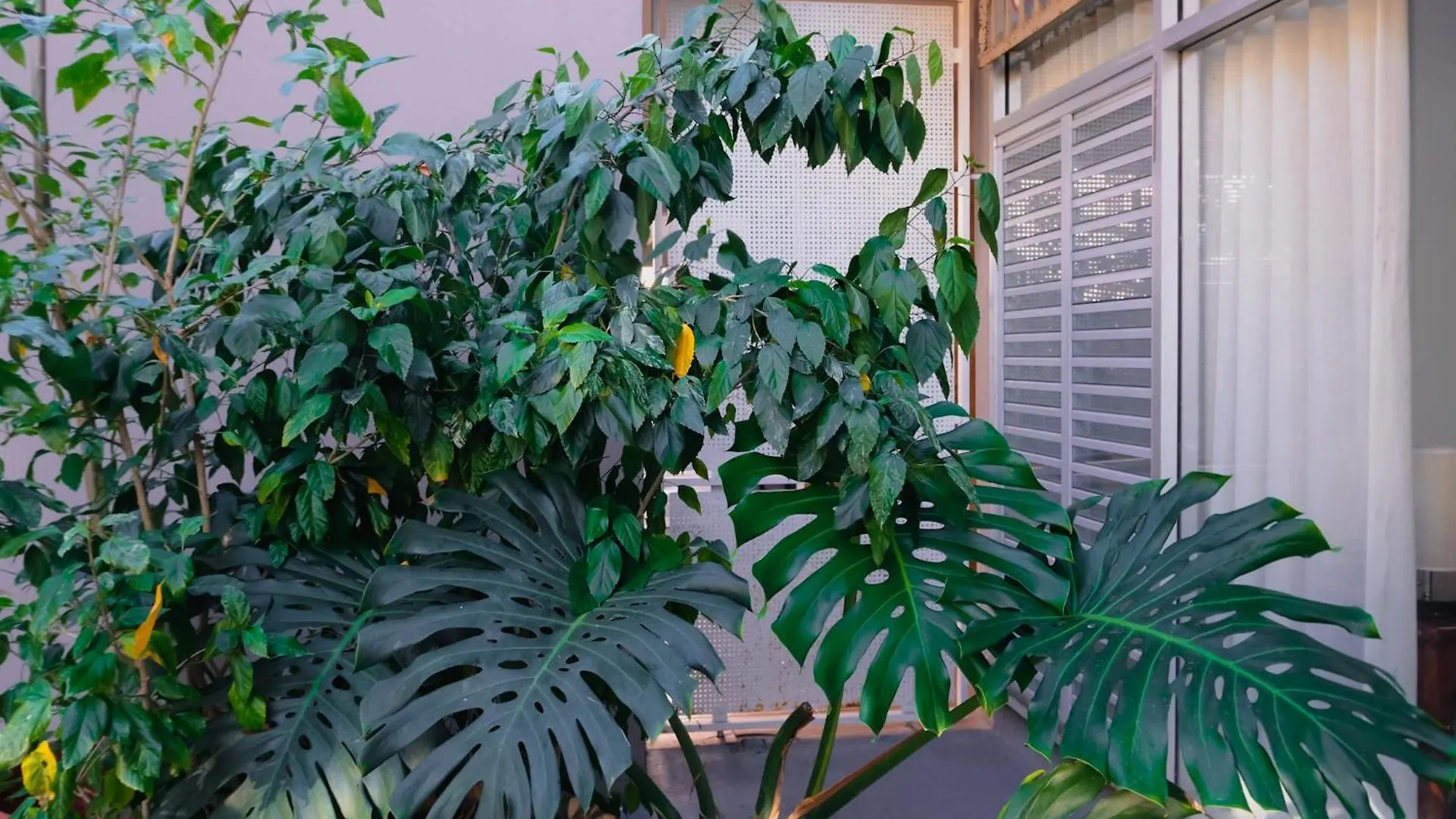 Apartment Caribe Rentals - Miramar San Juan Puerto Rico